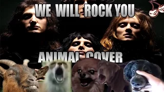 Queen - We Will Rock You (Animal Cover)