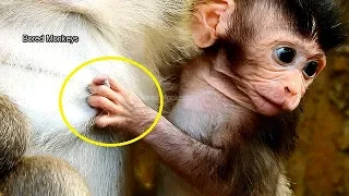 How cuteness baby Vi0la use hand touching milk&face turn away lull mom for milk just adorable