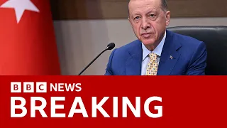Turkey’s president to back Sweden joining Nato - BBC News