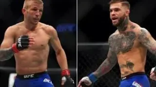 DaveNoseworthyMMA | #UFC227: Tj Dillashaw vs Cody Garbrandt 2