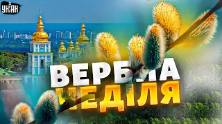 Вербна неділя: історія, звичаї та традиції святкування в Україні