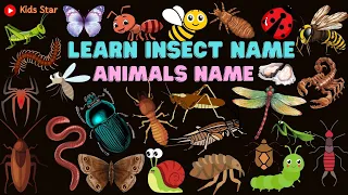 BELAJAR NAMA HEWAN SERANGGA BAHASA INDONESIA - NGGRIS | NAMES OF INSECT LEARN ANIMALS NAMA BINATANG