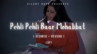 Pehli Pehli Baar Mohabbat (Slowed + Reverb) | Kumar Sanu,Alka Yagnik | #lofi #hindisongs #lyrics