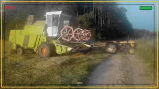 ★ Żniwa 2021 ★ CLAAS PROTECTOR somsiada w akcji ★ Ciapek ★