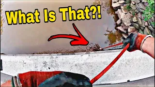 Most Disturbing Magnet Fishing Jackpot EVER Discovered!!!