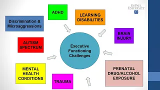 Strategies to Support Executive Functioning