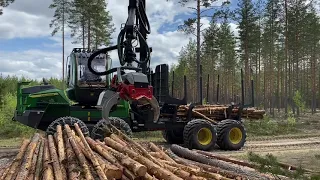 Nisula 425C combi harvesting head on NEW John Deere 1010G forwarder!