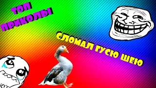 5 МИНУТ ОТБОРНЫХ ПРИКОЛОВ | ТЕСТ НА ПСИХИКУ | ЛУЧШИЕ ПРИКОЛЫ 2018 #4