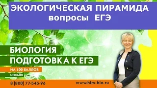 Экологическая пирамида. Это есть в ЕГЭ , ГИА,ОГЭ. Экология. Биология .Подготовка к экзамену.