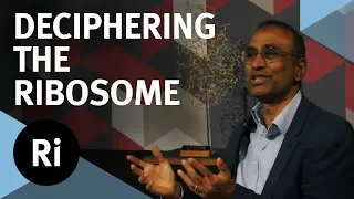 The Story of Deciphering the Ribosome - with Venki Ramakrishnan