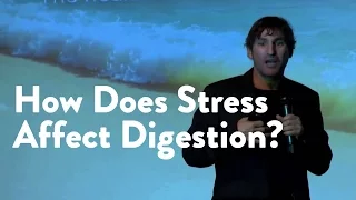 How Does Stress Affect Digestion? [James Maskell, Functional Forum]