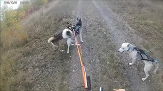 Training 2018 Oktober, Haru, Talvi und Kevät