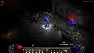 [PS5] Diablo 2 Resurrected #1