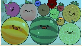 Water Watermelon Game - Fruits Challenge (2 Suika Game, Puzzle)