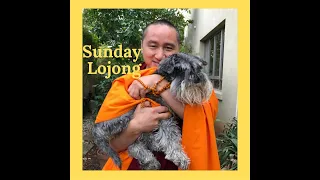 Geshe Zopa Lojong 21st Nov (Story of Lama Zopa Rinpoche Helping Staff Circumambulate in Hotel Rooms)