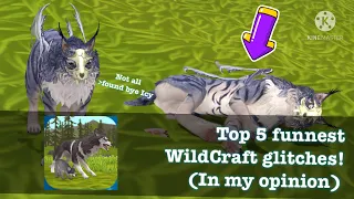 Top 5 funnest WildCraft glitches! (My opinion)