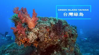 Underwater Green Island Taiwan(台灣綠島)