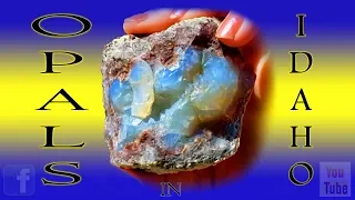 Opals in Idaho