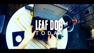 Leaf Dog - Today