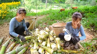 Harvesting Bamboo Shoot & Processing bamboo shoots - Selling Bamboo Shoots - Animals | Nhất New Life