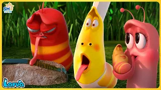 🔴LARVA FULL EPISODE: RED CHEF | LARVA NEW MOVIES | COMEDY VIDEO 2022 | CLASSIC CARTOON COMPILATION