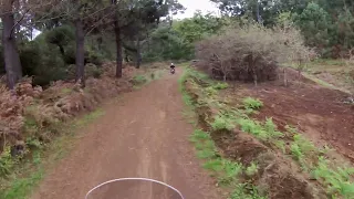 Off We Go Maloeira Off Road Honda Africa Twin & CB 500 X Madeira Island