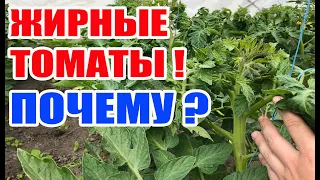 Жирование томатов как остановить ???