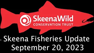 Skeena Fisheries Update – September  20, 2023