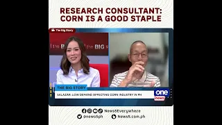 Mungkahing gawing alternatibo ang mais bilang pamalit sa bigas, sinegundahan ng isang eksperto