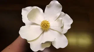 Gumpaste Magnolia Tutorial