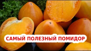 Самые урожайные желтые томаты с потрясающим вкусом