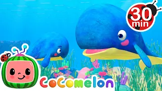Mom and Baby Blue Whale Lullaby - @CoComelon | Kids Cartoons | Moonbug Kids