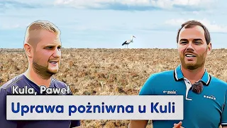 Kula opowiada co zrobi po żniwach. Uprawa pożniwna pod rzepak i pszenice | e-pole do popisu #112