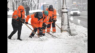 Из Москвы сбежали дворники......