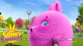 SUNNY BUNNIES - PRISE DE PHOTOS DE BIG BOO | Dessins Animés Pour Enfants | WildBrain