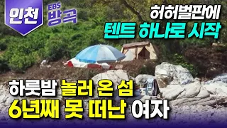 [인천광역시] "대통령도, 회장님도 안 부럽다" 하룻밤 들른 섬에 첫눈에 반해 덜컥 텐트 하나 챙겨 허허벌판에 집 지은 여자┃예순에 발견한 지상낙원 '자월도'┃#한국기행 #방방곡곡