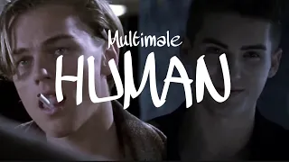 Multimale | Human