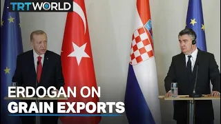 Erdogan: Putin is “right about grain exports” going to rich countries