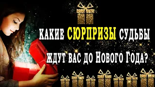 Расклад таро КАКИЕ СЮРПРИЗЫ ЖДУТ ВАС ДО НОВОГО ГОДА? 💣💣💣 Гадание на Судьбу онлайн