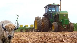 Planting With The Buffaloes! (4/17/23)