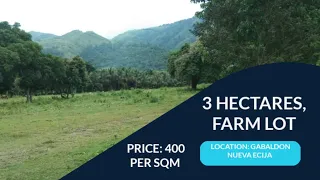 (V52) 3 HECTARES, FARMLOT, PRICE 400 PER SQM, LOCATION GABALDON NUEVA ECIJA