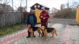 ГОНЯЛИ ЗАЙЦЕВ .РГ Набат вл. Шатров Е.А. и Аргон вл. Шатров В.А.