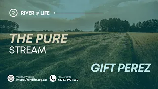 The Pure Stream | Gift Perez