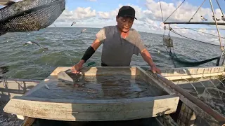 South Texas Shrimping #45 Tôm Nam Texas