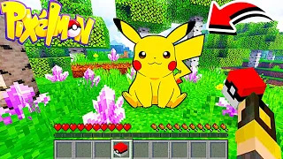 Finally I catch pikachu in pixelmon in Minecraft !! 🔥🤩