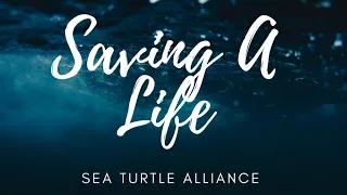 Saving A Life: Sea Rescue Turtle Alliance