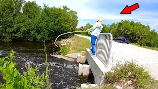 Found a Hidden Bridge LOADED with Fish! *Catch, Clean, & Cook*