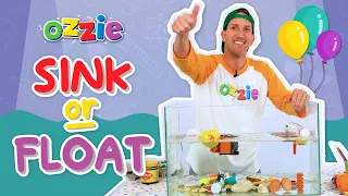 Sink Or Float | Fun Science Experiment for Kids