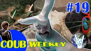 COUB Weekly #19 Лучшее за неделю ( Июль 2015 подборка приколов часть 4 )