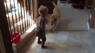 Surprise poop while playing with a balloon